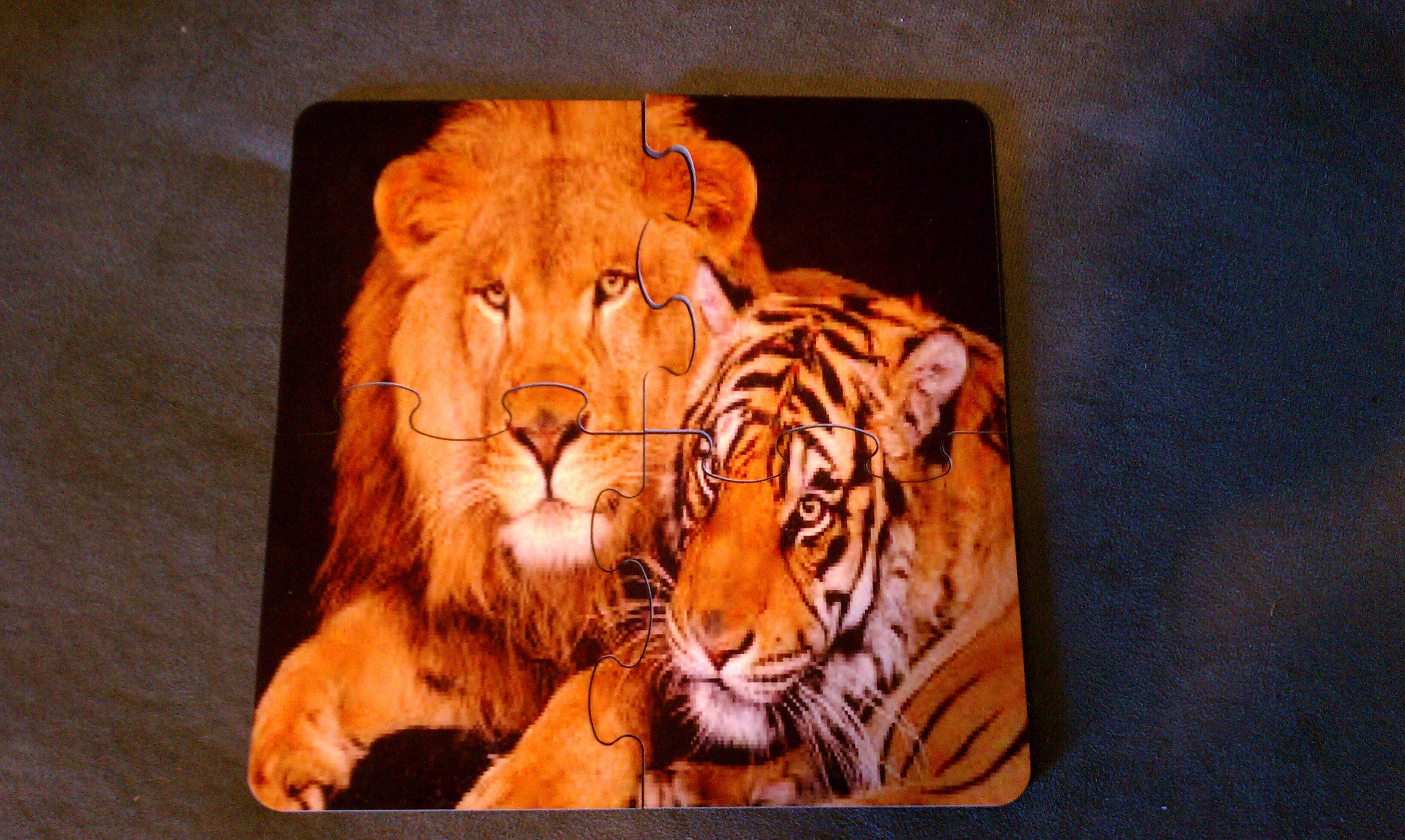 4 Piece 8x8 Wood Puzzle